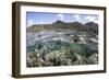 A Diverse Array of Corals Grow in Raja Ampat, Indonesia-Stocktrek Images-Framed Photographic Print