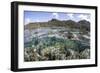 A Diverse Array of Corals Grow in Raja Ampat, Indonesia-Stocktrek Images-Framed Photographic Print