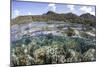 A Diverse Array of Corals Grow in Raja Ampat, Indonesia-Stocktrek Images-Mounted Photographic Print