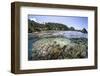 A Diverse Array of Corals Grow in Raja Ampat, Indonesia-Stocktrek Images-Framed Photographic Print