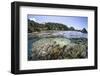 A Diverse Array of Corals Grow in Raja Ampat, Indonesia-Stocktrek Images-Framed Photographic Print