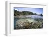 A Diverse Array of Corals Grow in Raja Ampat, Indonesia-Stocktrek Images-Framed Photographic Print