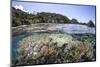 A Diverse Array of Corals Grow in Raja Ampat, Indonesia-Stocktrek Images-Mounted Photographic Print