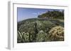 A Diverse Array of Reef-Building Corals in Raja Ampat, Indonesia-Stocktrek Images-Framed Photographic Print