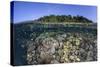 A Diverse Coral Reef Grows in Shallow Water in the Solomon Islands-Stocktrek Images-Stretched Canvas