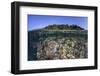 A Diverse Coral Reef Grows in Shallow Water in the Solomon Islands-Stocktrek Images-Framed Photographic Print