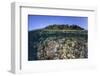 A Diverse Coral Reef Grows in Shallow Water in the Solomon Islands-Stocktrek Images-Framed Photographic Print