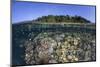 A Diverse Coral Reef Grows in Shallow Water in the Solomon Islands-Stocktrek Images-Mounted Photographic Print