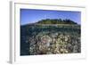 A Diverse Coral Reef Grows in Shallow Water in the Solomon Islands-Stocktrek Images-Framed Photographic Print