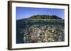 A Diverse Coral Reef Grows in Shallow Water in the Solomon Islands-Stocktrek Images-Framed Photographic Print