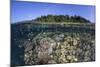 A Diverse Coral Reef Grows in Shallow Water in the Solomon Islands-Stocktrek Images-Mounted Photographic Print