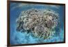 A Diverse Coral Reef Grows in Shallow Water in the Solomon Islands-Stocktrek Images-Framed Photographic Print