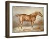 A Docked Chestnut Horse-Theodore Gericault-Framed Giclee Print