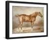 A Docked Chestnut Horse-Theodore Gericault-Framed Giclee Print