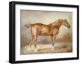 A Docked Chestnut Horse-Theodore Gericault-Framed Giclee Print