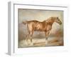 A Docked Chestnut Horse-Theodore Gericault-Framed Giclee Print