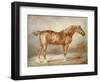 A Docked Chestnut Horse-Theodore Gericault-Framed Giclee Print