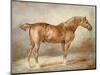 A Docked Chestnut Horse-Theodore Gericault-Mounted Giclee Print