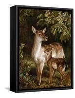 A Doe with Her Fawn-Samuel John Carter-Framed Stretched Canvas