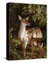 A Doe with Her Fawn-Samuel John Carter-Stretched Canvas