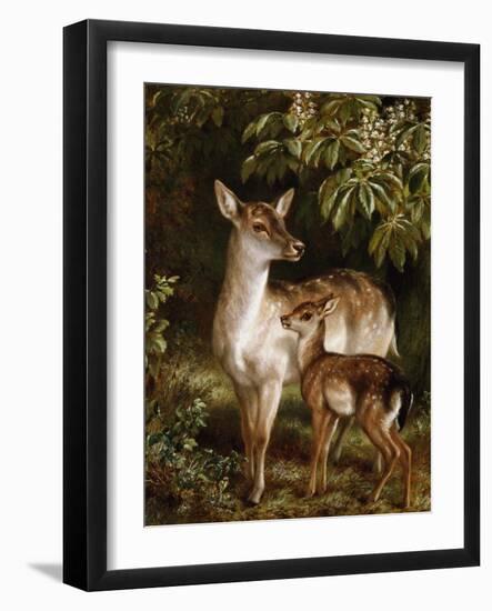 A Doe with Her Fawn-Samuel John Carter-Framed Giclee Print