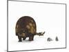 A Doedicurus Glyptodont Compared to Modern Armadillos-null-Mounted Art Print