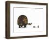 A Doedicurus Glyptodont Compared to Modern Armadillos-null-Framed Art Print