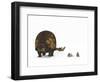 A Doedicurus Glyptodont Compared to Modern Armadillos-null-Framed Art Print