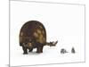 A Doedicurus Glyptodont Compared to Modern Armadillos-null-Mounted Art Print