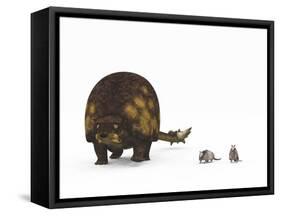A Doedicurus Glyptodont Compared to Modern Armadillos-null-Framed Stretched Canvas