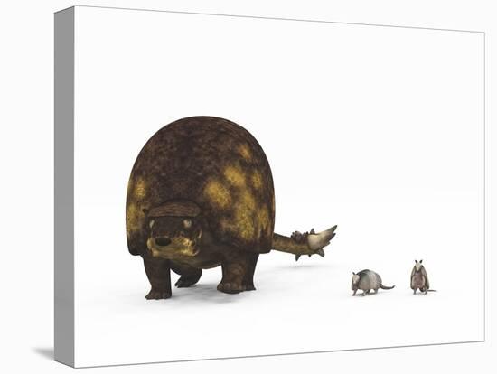 A Doedicurus Glyptodont Compared to Modern Armadillos-null-Stretched Canvas