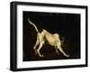 A Dog, 17th Century-Frans Snyders-Framed Giclee Print