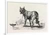 A Dog at Erment, Egypt, 1879-null-Framed Giclee Print