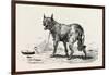 A Dog at Erment, Egypt, 1879-null-Framed Giclee Print