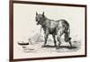 A Dog at Erment, Egypt, 1879-null-Framed Giclee Print