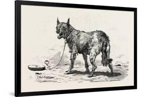 A Dog at Erment, Egypt, 1879-null-Framed Giclee Print