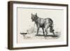 A Dog at Erment, Egypt, 1879-null-Framed Giclee Print
