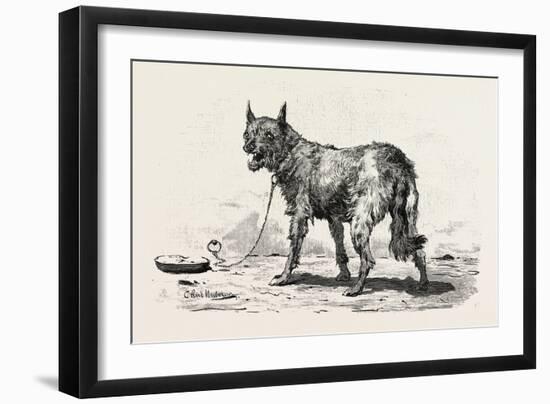 A Dog at Erment, Egypt, 1879-null-Framed Giclee Print