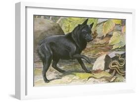 A Dog Encounters a Snake-null-Framed Art Print