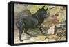 A Dog Encounters a Snake-null-Framed Stretched Canvas