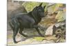 A Dog Encounters a Snake-null-Mounted Premium Giclee Print