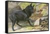 A Dog Encounters a Snake-null-Framed Stretched Canvas