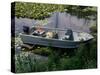 A Dog in a Boat on a Pond-null-Stretched Canvas