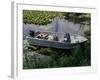 A Dog in a Boat on a Pond-null-Framed Photographic Print