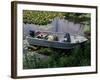 A Dog in a Boat on a Pond-null-Framed Photographic Print