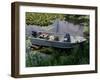 A Dog in a Boat on a Pond-null-Framed Photographic Print