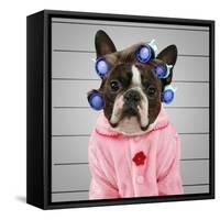 A Dog In Front Of A Convict Poster Getting A Mug Shot Taken-graphicphoto-Framed Stretched Canvas
