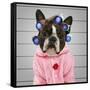 A Dog In Front Of A Convict Poster Getting A Mug Shot Taken-graphicphoto-Framed Stretched Canvas