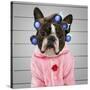 A Dog In Front Of A Convict Poster Getting A Mug Shot Taken-graphicphoto-Stretched Canvas