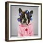 A Dog In Front Of A Convict Poster Getting A Mug Shot Taken-graphicphoto-Framed Photographic Print
